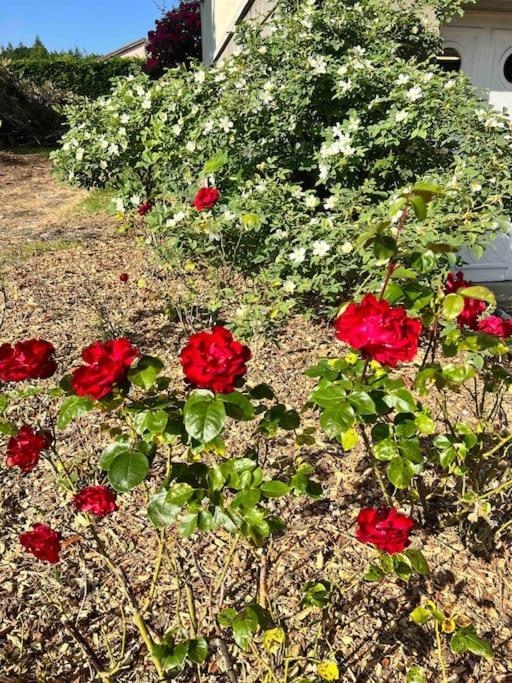 Gite De La Petite Fourmy Saint-Sulpice-les-Feuilles Dış mekan fotoğraf